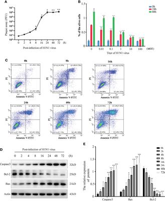 H1N1 Influenza Virus-Infected Nasal Mucosal Epithelial Progenitor Cells Promote Dendritic Cell Recruitment and Maturation